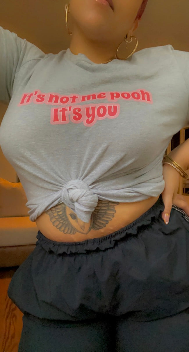 It's Not Me Pooh It's You T-Shirt
